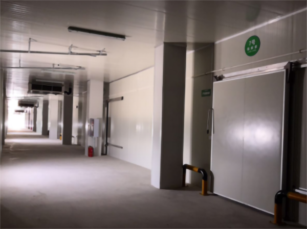 食品公司內建造一個1000平包子、水餃速凍冷庫費用是多少?