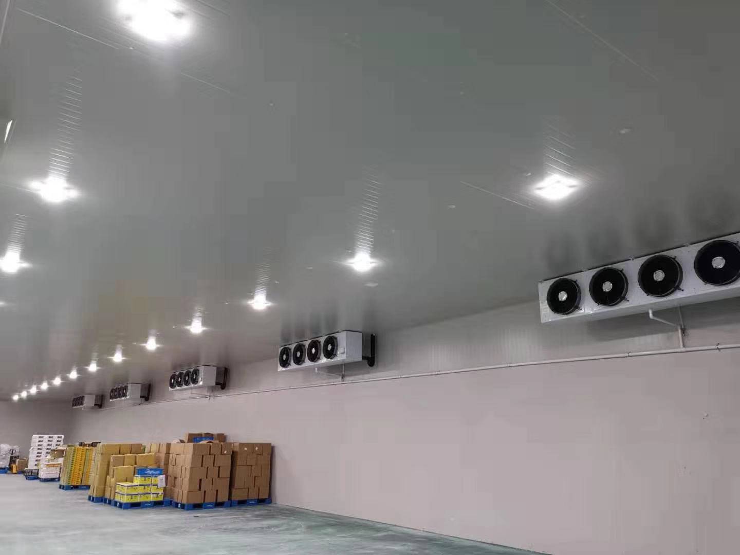 城市周邊建造一個8800平生鮮電商冷庫設計安裝費用？