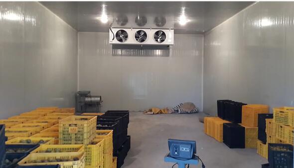 20平保鮮庫要多少錢-開冉制冷