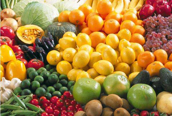 一個500平水果氣調(diào)保鮮冷庫設(shè)計(jì)