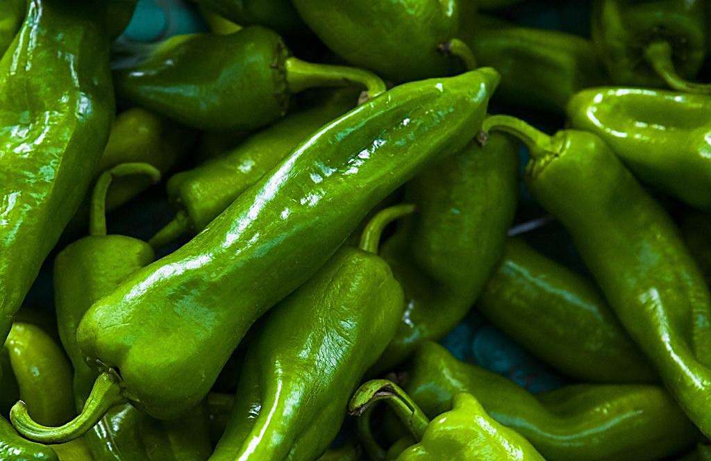 果蔬辣椒保鮮冷庫安裝，上海青椒保鮮冷庫造價