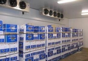 果蔬,黃桃氣調(diào)保鮮冷庫(kù)