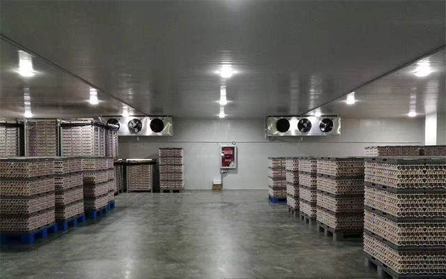 1000噸0-5℃蘋(píng)果冷藏庫(kù)多少錢，2-4℃冷藏庫(kù)建設(shè)