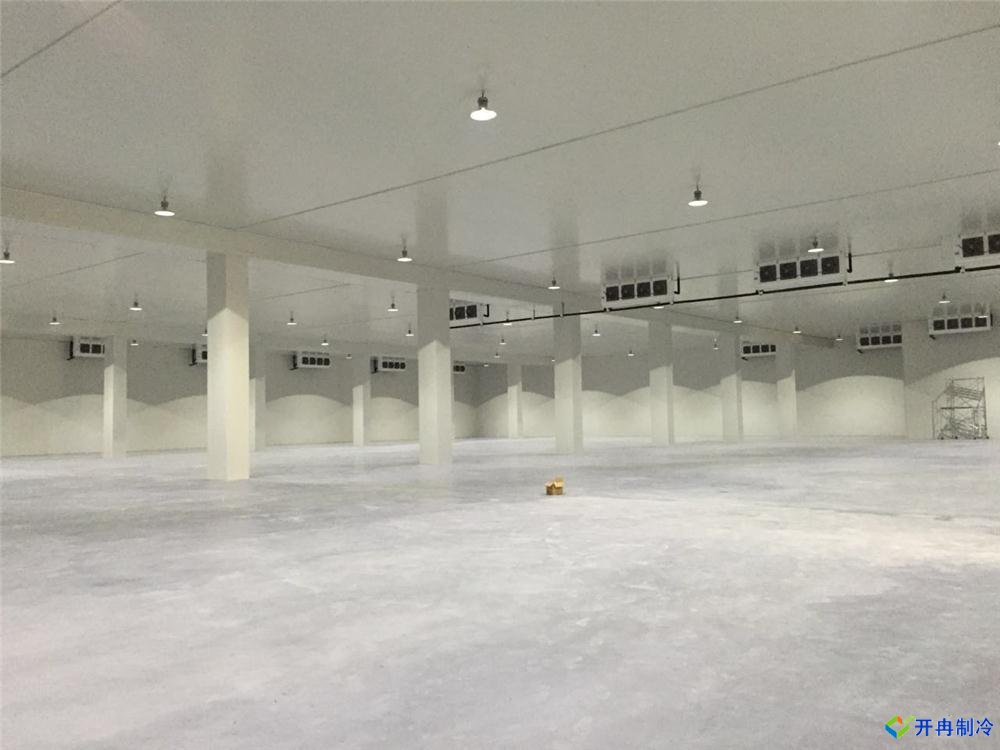 浙江建-60℃金槍魚超低溫冷庫，冷庫總價預算多少