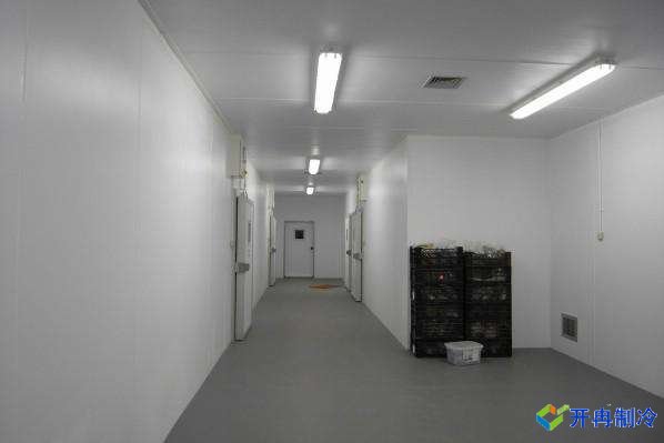 500平米雞肉雙溫冷凍庫,冷庫安裝造價多少