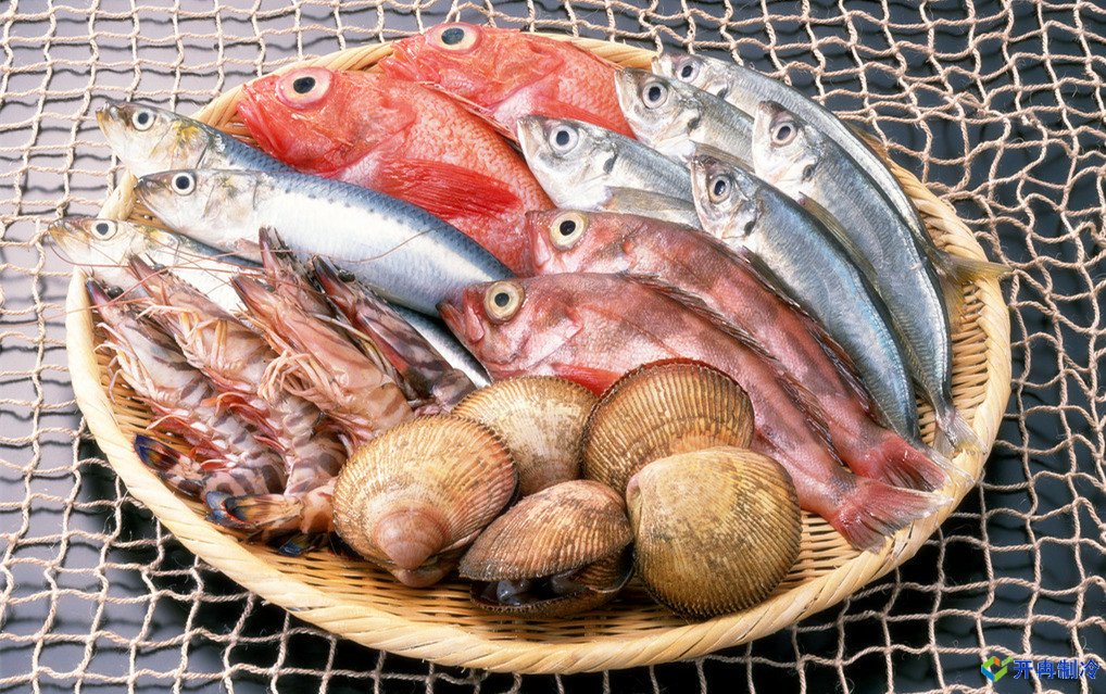 上海建造海鮮冷庫(kù),冷庫(kù)報(bào)價(jià)表